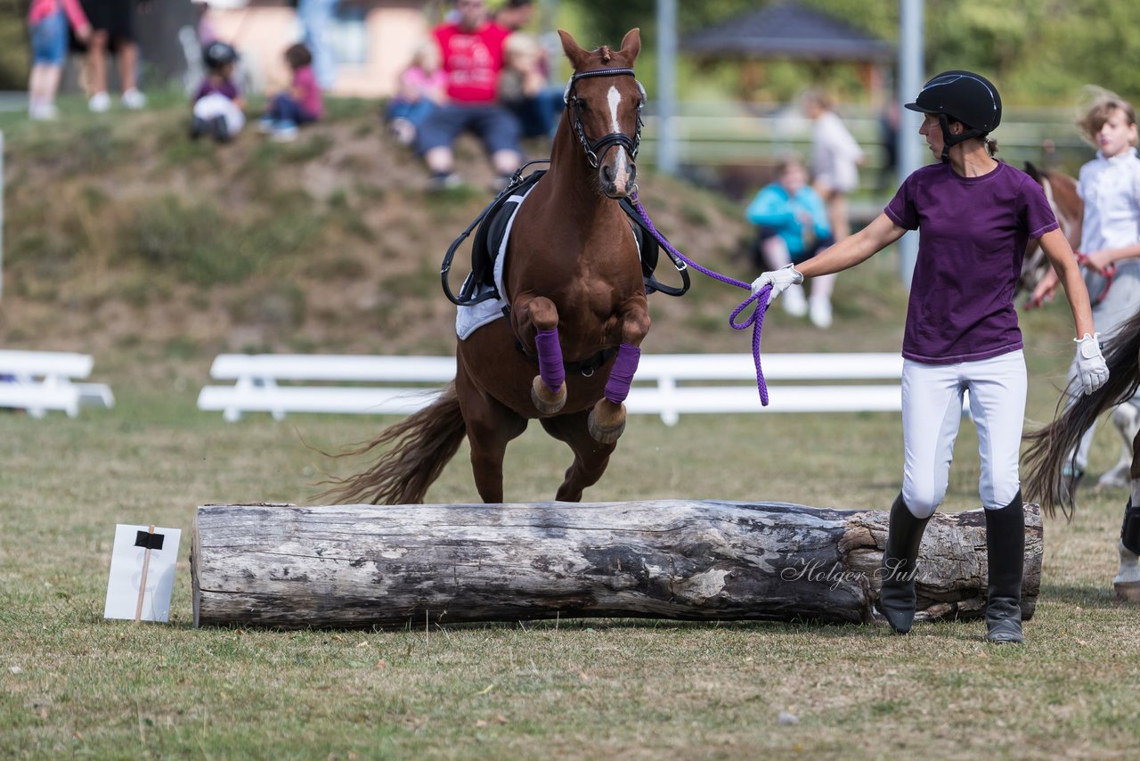 Bild 42 - Pony Akademie Turnier